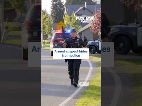 Hide and Seek #police #cops #search