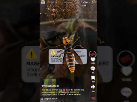 ⚠️ MURDER HORNET ALERT ⚠️ #911Nashville returns October 15 on ABC. Stream on Hulu.